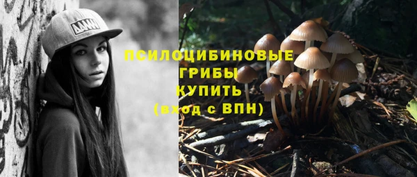 мяу мяу кристалл Алексин