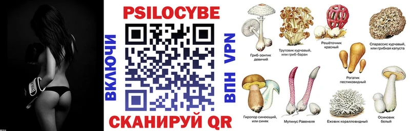Псилоцибиновые грибы Psilocybine cubensis  цена   Чапаевск 